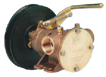 Jabsco 51580 engine driven pump